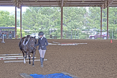 Picture from Catoosa County Saddle Club show