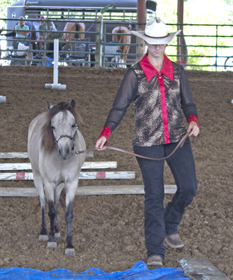 Picture from Catoosa County Saddle Club show