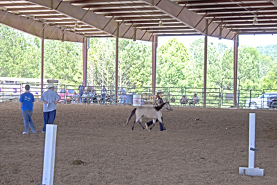Picture from Catoosa County Saddle Club show
