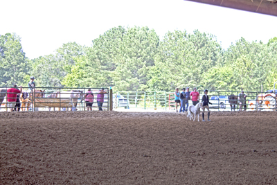 Picture from Catoosa County Saddle Club show