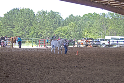 Picture from Catoosa County Saddle Club show