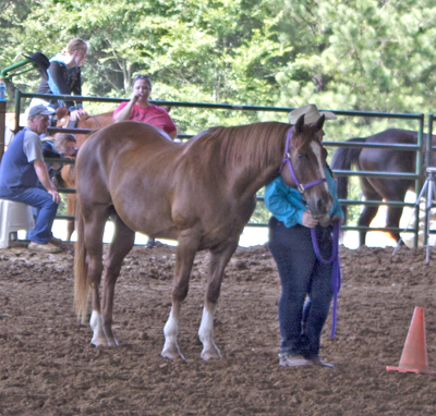 Picture from Catoosa County Saddle Club show