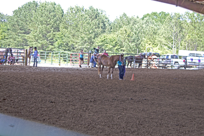 Picture from Catoosa County Saddle Club show