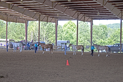 Picture from Catoosa County Saddle Club show
