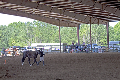 Picture from Catoosa County Saddle Club show