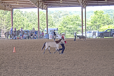 Picture from Catoosa County Saddle Club show