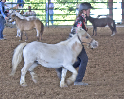 Picture from Catoosa County Saddle Club show