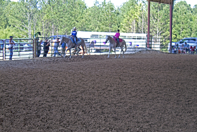 Picture from Catoosa County Saddle Club show