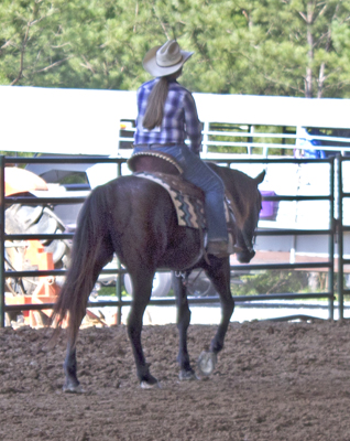 Picture from Catoosa County Saddle Club show