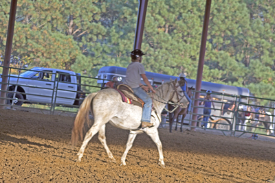 Picture from Catoosa County Saddle Club show
