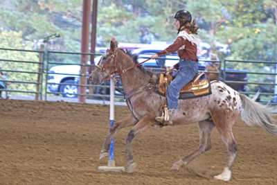 Picture from Catoosa County Saddle Club show