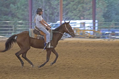 Picture from Catoosa County Saddle Club show