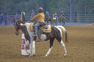 Picture from Catoosa County Saddle Club show