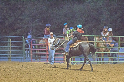 Picture from Catoosa County Saddle Club show