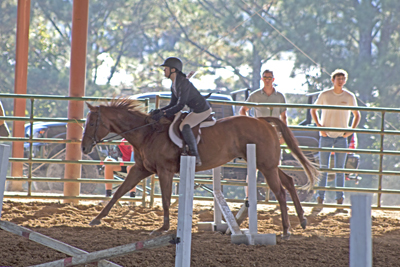 Picture from Catoosa County Saddle Club show