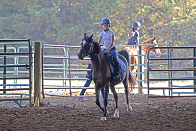 Picture from Catoosa County Saddle Club show