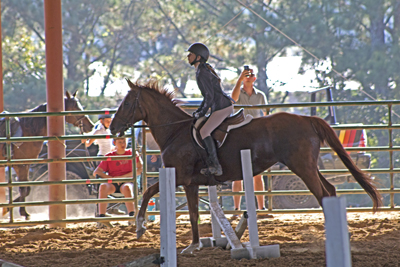 Picture from Catoosa County Saddle Club show