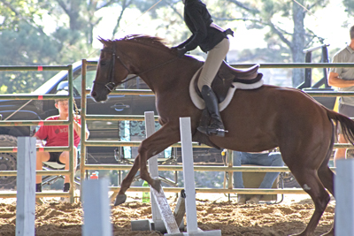 Picture from Catoosa County Saddle Club show