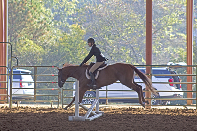 Picture from Catoosa County Saddle Club show