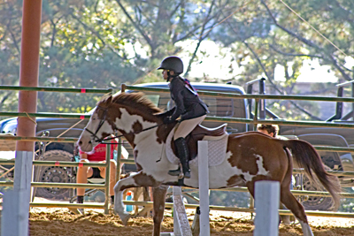 Picture from Catoosa County Saddle Club show