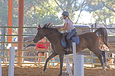 Picture from Catoosa County Saddle Club show