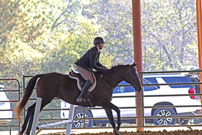 Picture from Catoosa County Saddle Club show