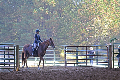 Picture from Catoosa County Saddle Club show