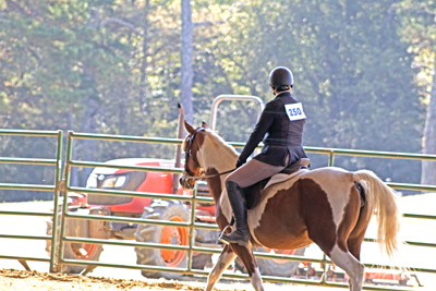 Picture from Catoosa County Saddle Club show