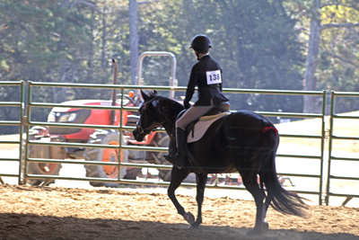 Picture from Catoosa County Saddle Club show