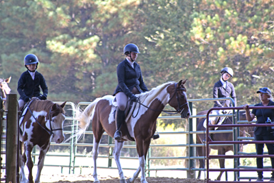 Picture from Catoosa County Saddle Club show
