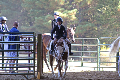 Picture from Catoosa County Saddle Club show