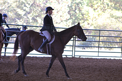 Picture from Catoosa County Saddle Club show