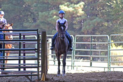 Picture from Catoosa County Saddle Club show