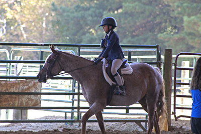 Picture from Catoosa County Saddle Club show
