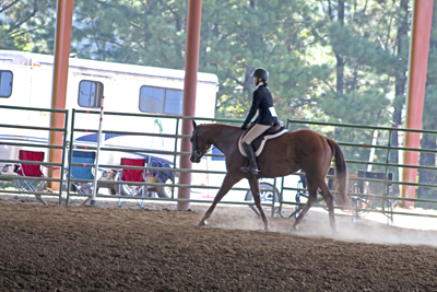 Picture from Catoosa County Saddle Club show