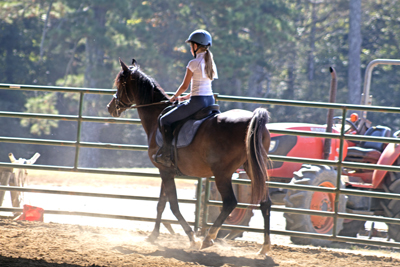 Picture from Catoosa County Saddle Club show