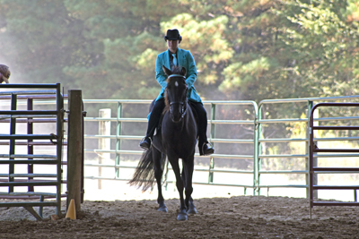 Picture from Catoosa County Saddle Club show