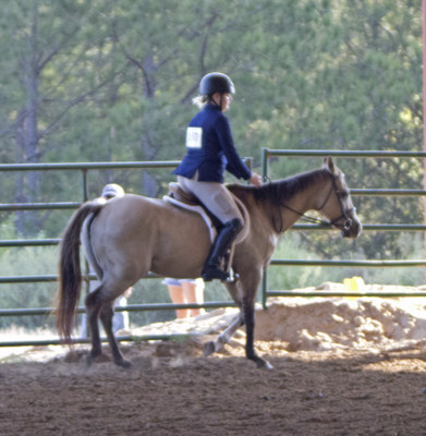 Picture from Catoosa County Saddle Club show