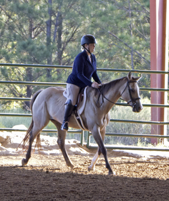 Picture from Catoosa County Saddle Club show
