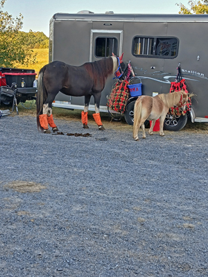Picture from Catoosa County Saddle Club show