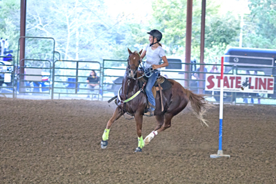 Picture from Catoosa County Saddle Club show