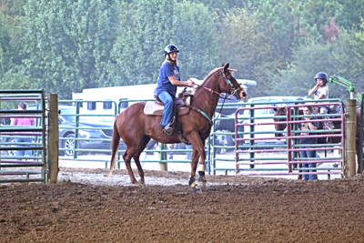 Picture from Catoosa County Saddle Club show