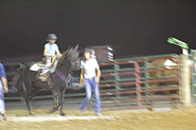 Picture from Catoosa County Saddle Club show