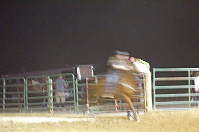Picture from Catoosa County Saddle Club show