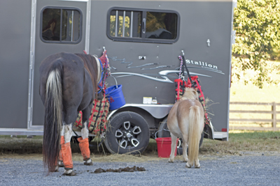 Picture from Catoosa County Saddle Club show