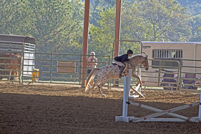 Picture from Catoosa County Saddle Club show