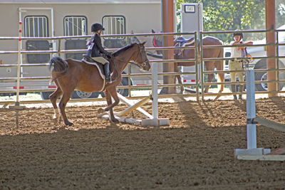 Picture from Catoosa County Saddle Club show