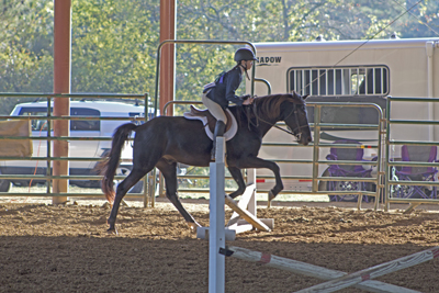 Picture from Catoosa County Saddle Club show