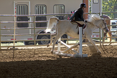Picture from Catoosa County Saddle Club show