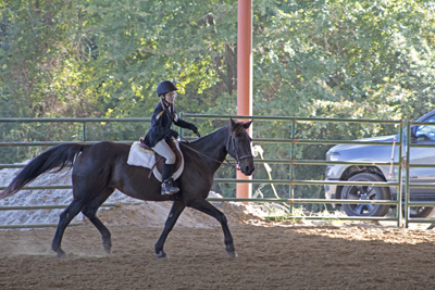 Picture from Catoosa County Saddle Club show
